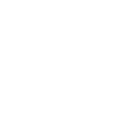 Logo Omint